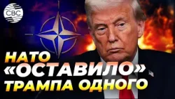 Раскол крупного альянса? Трамп возмущен: Азиатские и европейские союзники подвели