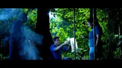 සදෙව් ගැන හෝඩුවාවක් ?