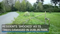 Residents ‘shocked’ as 75 trees damaged in Dublin park