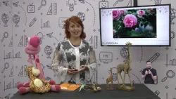 Literatura_O Sabia e a Girafa 2 e 3 ano aula 18  22 08-