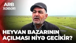 ARB XƏBƏR – Heyvan bazarı niyə açılmır? - “Hər dəfə 100–120 manat civarında bizə ziyan dəyir”