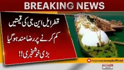 Qatar Agrees to Reduce LNG Prices? Big Relief News for Pakistan | Major Update