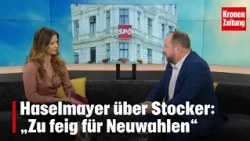 Haselmayer on Stocker: "Too cowardly for new elections" | krone.tv Midday Clips