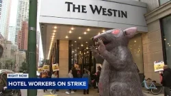 Downtown hotel employees go on strike ahead of Chicago Marathon