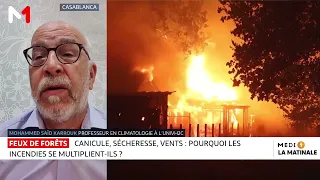 Feux de forêts : zoom sur les incendies en Méditerranée avec Mohammed Saïd Karrouk
