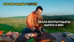 Талаа конушундагы ашпоз А Бин | ЖУҢГО ШИНЖАҢ радио теле станциясы Талаа конушундагы ашпоз А Бин | ЖУҢГО ШИНЖАҢ радио теле станциясы