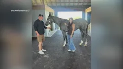 Colt trained in Hot Springs named after Arkansas Razorbacks star