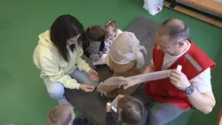 Fiatalon is segíteni szeretnének