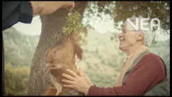 ΠΡΩΤΑ ΜΗΝΥΜΑΤΑ ΓΙΑ ΤΟΝ ΤΟΥΡΙΣΜΟ 2026