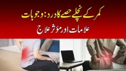 Lower back pain: causes, symptoms and effective treatments