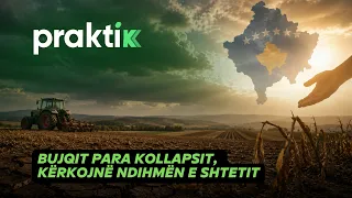 Qindra hektar me kultura bujqësore të dëmtuara… bujqit para kollapsit, kërkojnë ndihmën e shtetit