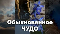 Обыкновенное чудо | С любовью к русской природе