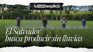 El Salvador seeks to end dependence on the rainy season for food production