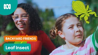 Why is that leaf....WALKING?! 🍃 | Gardening Australia Junior | ABC Kids