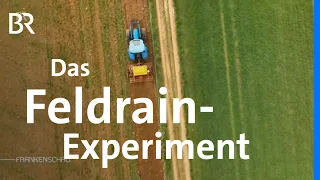 Blühstreifen rund ums Feld: Feldraine für Pflanzen und Tiere | Landwirtschaft | Frankenschau | BR