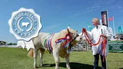 Beidh Aonach Amárach