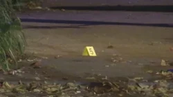Man shot, killed in Roseland