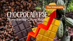Surging cocoa prices (초콜릿 가격 급등) ?Videotable?