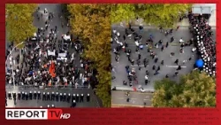Protesta kombëtare e PD mbledh 100 veta, Flamingot sulmojnë me vezë e flakadanë