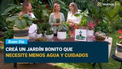 Create a beautiful garden that requires less water and maintenance