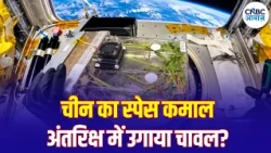 China Tiangong Space Station: अंतरिक्ष में चावल की फसल तैयार, क्या अब चांद पर उगेगा अनाज? | N18V