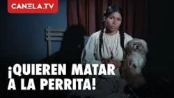 The Plan to Annihilate the Puppy | Fear Doesn't Ride a Donkey (1976) | La India María | Canela.TV