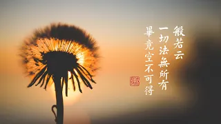 淨空老法師｜大經專修（二）｜在枝葉裡尋求，找不到根本-第0167集