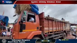 ಮೈಸೂರು ದಸರಾದಲ್ಲಿ ಕರಾವಳಿಯ ಕಂಬಳ; ಮೈಸೂರಿಗೆ ಪ್ರಯಾಣ ಬೆಳೆಸಿದ ಕೋಣಗಳು