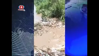 Overflow of the Yaracuy River leaves several sectors flooded