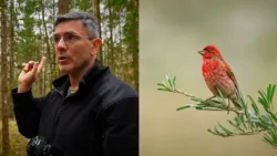 Mitus apie sniegenas sugriovęs Čepulis: Lietuvoje gyvena ne tik žiemą | 2026-10-04