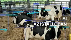 Europeo – Robotok a farmon: Életet mentett a mesterséges intelligencia