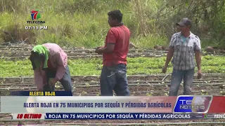 Red alert in 75 Honduran municipalities due to drought and agricultural losses