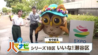 ハマナビ　2026年9月19日放送　シリーズ18区特集　いいな！瀬谷区