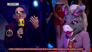 Chavana pide a Turbulence resolver sus problemas con Momo | Es Show