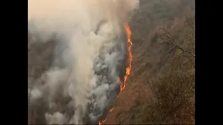 Several forest fires in different parts of the country have once again caused emergencies