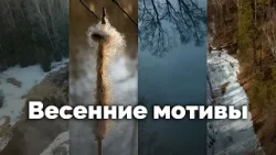 Весенние мотивы | С любовью к русской природе