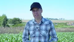 Personagem Soja Brasil: conheça o produtor que usa gestão e tecnologia para alcançar produtividade