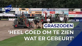 Lierse football club Lyra finally gets a green pitch again