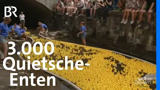 3.000 Quietsche-Enten beim Entenrennen im Allgäu | Wir in Bayern | BR