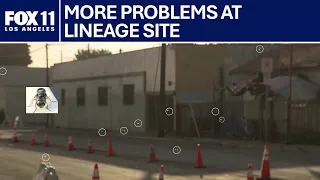 Fly infestation at Boyle Heights Lineage warehouse site