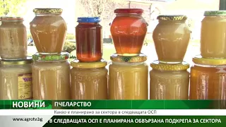 ПЧЕЛАРСТВО: Какво е планирано за сектора в следващата ОСП