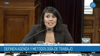 SENATOR BELÉN MONTE DE OCA 3 – BICAMERAL COMMISSION ON LEGISLATIVE PROCEDURES 09/01/26