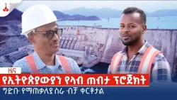 ግድቡ የማጠቃለያ ስራ ብቻ ቀርቶታል Etv | Ethiopia | News zena
