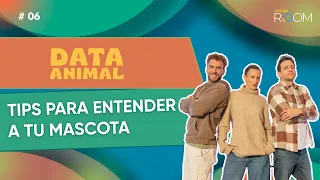 Cómo entender a los animales: Señales, adopción y emergencias veterinarias - Data Animal