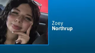 15-year-old missing out of Land O' Lakes, Pasco deputies say