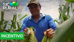 Transporte gratuito reduz custos de produtores