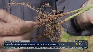 National Seminar in Mato Grosso on Nematode Control