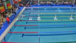 34e Meeting International de Natation de Saint-Dizier - Samedi 10 octobre 2026