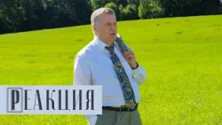 Реакция: Владимир Жириновский. С чего начинается Родина?! Реакция: Владимир Жириновский. С чего начинается Родина?!