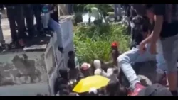 Pelea entre mujeres irrumpe en sepelio